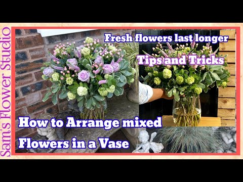 How To Tell If Roses Are Fresh? 3 Important Suggestions